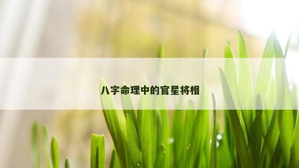 八字命理中的官星将相