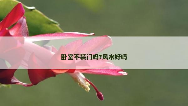 卧室不装门吗?风水好吗