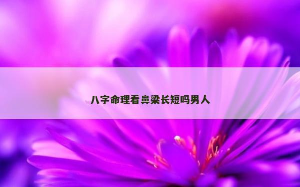 八字命理看鼻梁长短吗男人