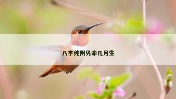 八字纯阴男命几月生