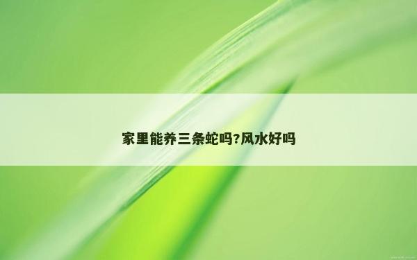 家里能养三条蛇吗?风水好吗