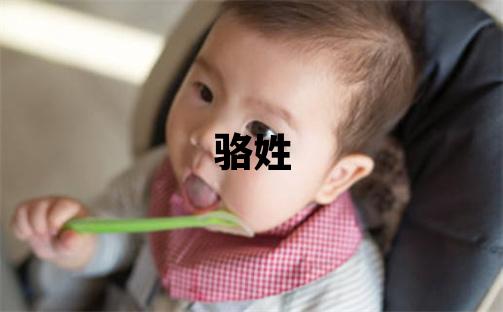 骆姓朗朗上口的女宝宝名字