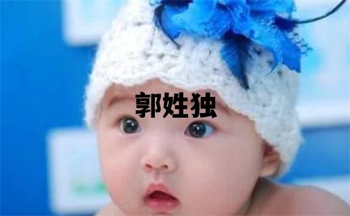 郭姓独特优美的男宝宝名字