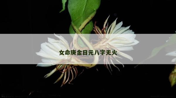 女命庚金日元八字无火