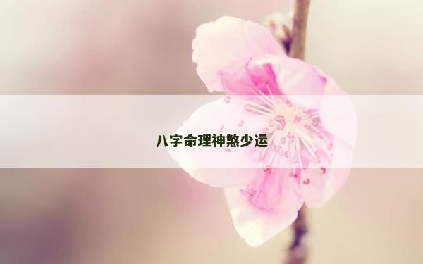 八字命理神煞少运