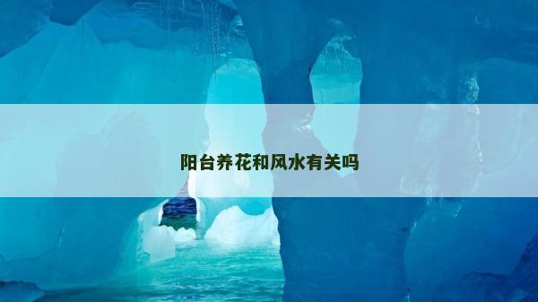 阳台养花和风水有关吗