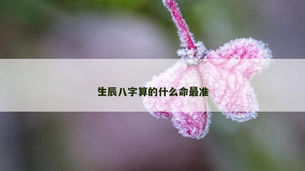生辰八字算的什么命最准