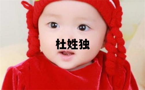杜姓独特优美的女孩名字,取什么名字好