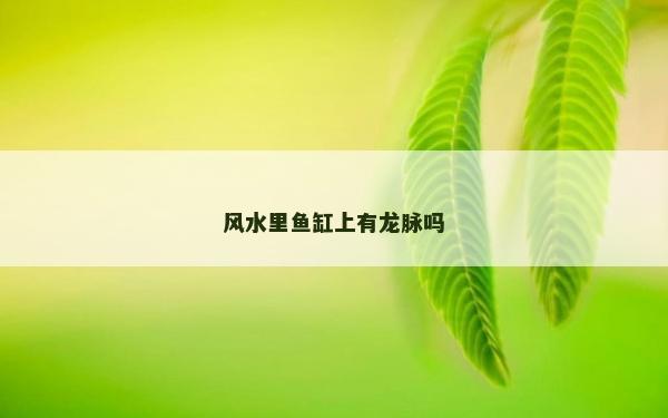 风水里鱼缸上有龙脉吗