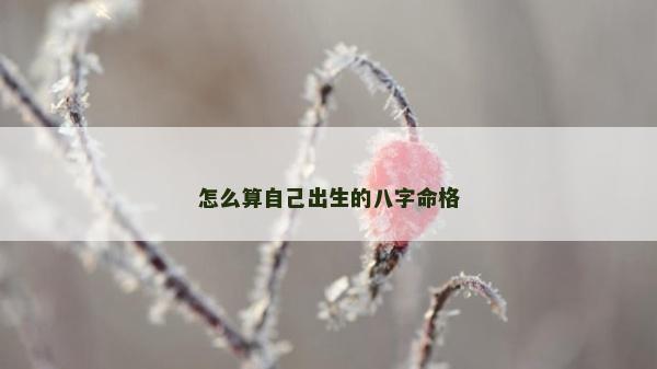 怎么算自己出生的八字命格