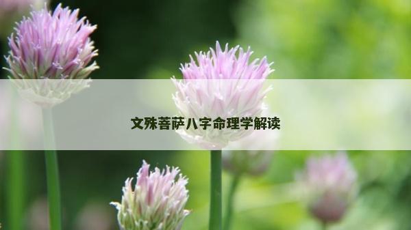 文殊菩萨八字命理学解读