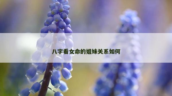 八字看女命的姐妹关系如何