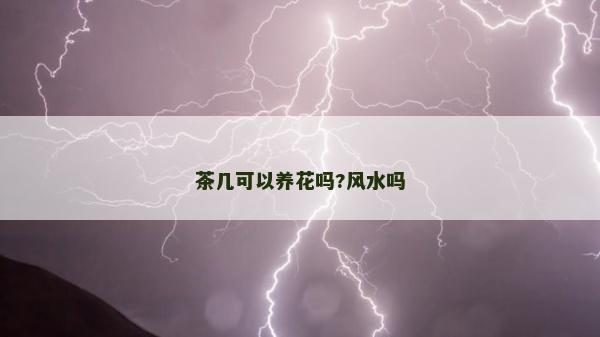 茶几可以养花吗?风水吗
