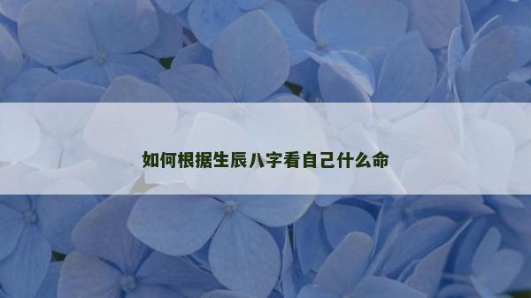 如何根据生辰八字看自己什么命