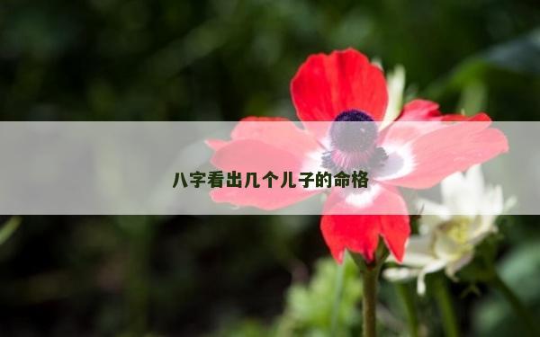 八字看出几个儿子的命格