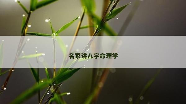名家讲八字命理学