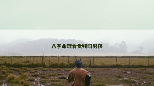 八字命理看贵贱吗男孩