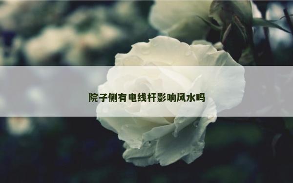 院子侧有电线杆影响风水吗