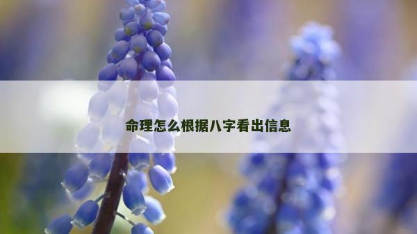 命理怎么根据八字看出信息