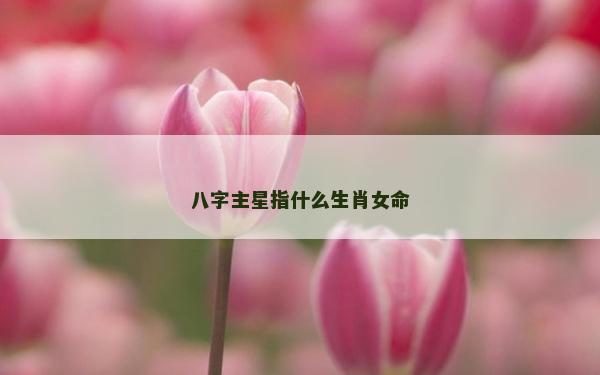 八字主星指什么生肖女命