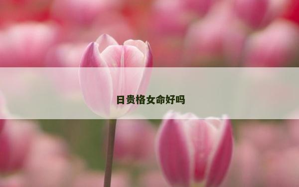 日贵格女命好吗