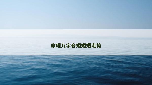 命理八字合婚婚姻走势