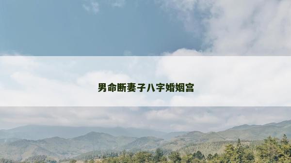 男命断妻子八字婚姻宫