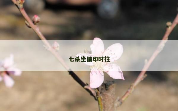七杀坐偏印时柱