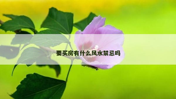 要买房有什么风水禁忌吗