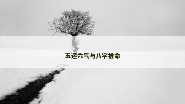 五运六气与八字推命