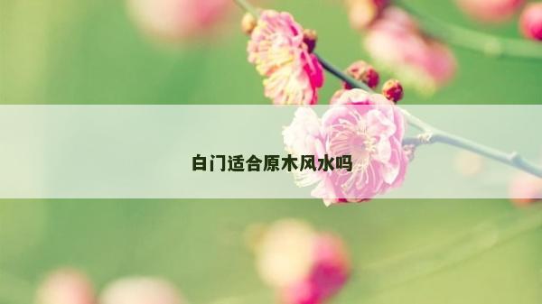 白门适合原木风水吗