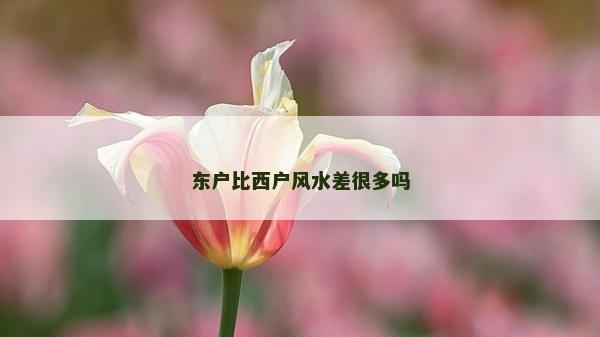 东户比西户风水差很多吗