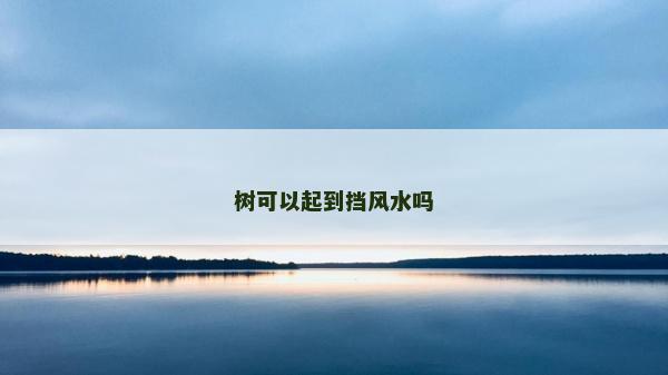 树可以起到挡风水吗