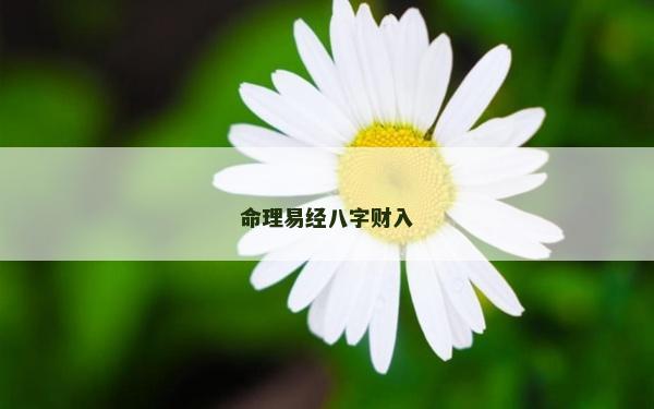 命理易经八字财入