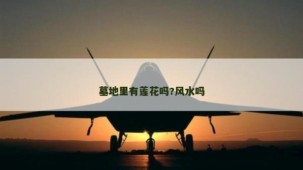 墓地里有莲花吗?风水吗