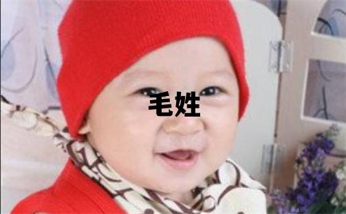 毛姓优美大方的男孩名字