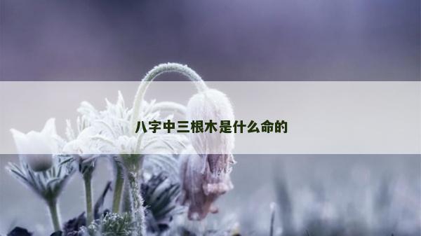 八字中三根木是什么命的