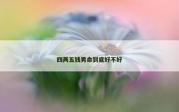 四两五钱男命到底好不好