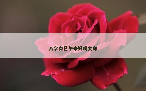 八字有巳午未好吗女命