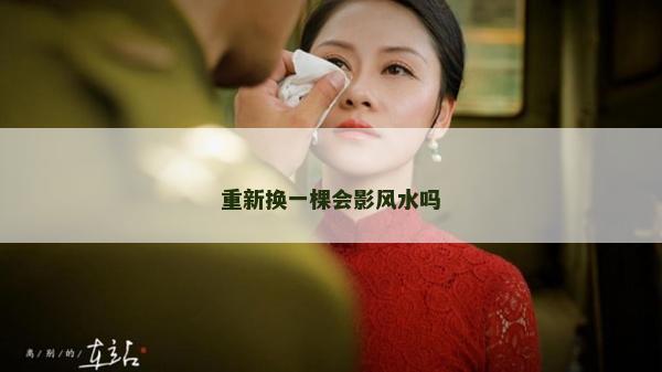 重新换一棵会影风水吗