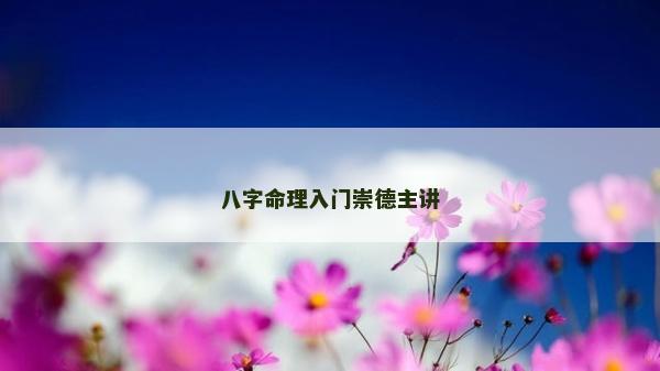 八字命理入门崇德主讲