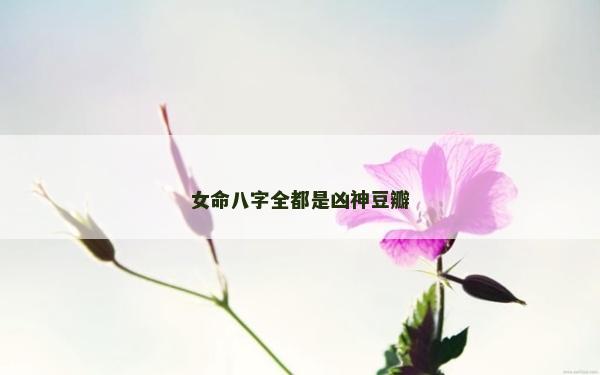 女命八字全都是凶神豆瓣