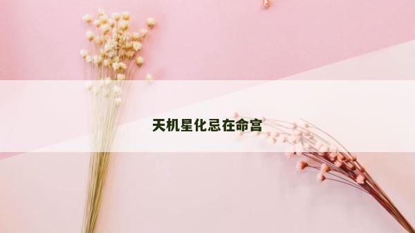 天机星化忌在命宫