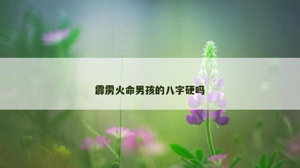 霹雳火命男孩的八字硬吗