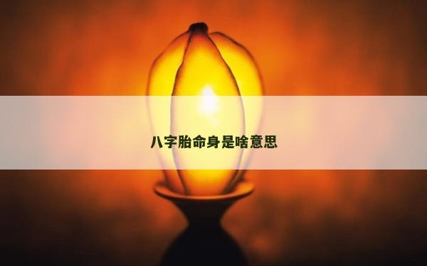 八字胎命身是啥意思