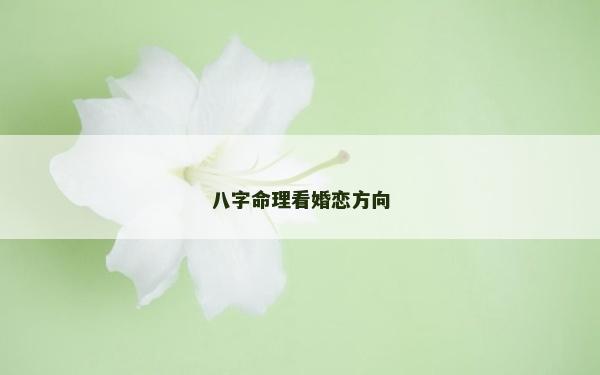 八字命理看婚恋方向