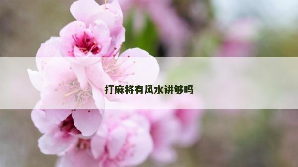 打麻将有风水讲够吗