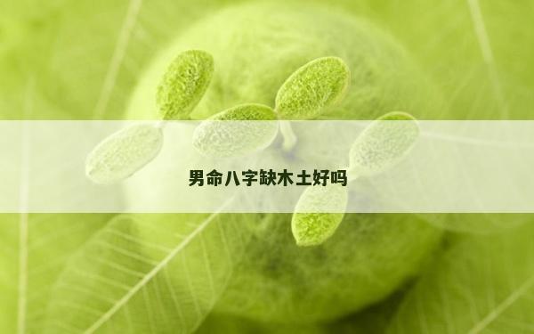 男命八字缺木土好吗