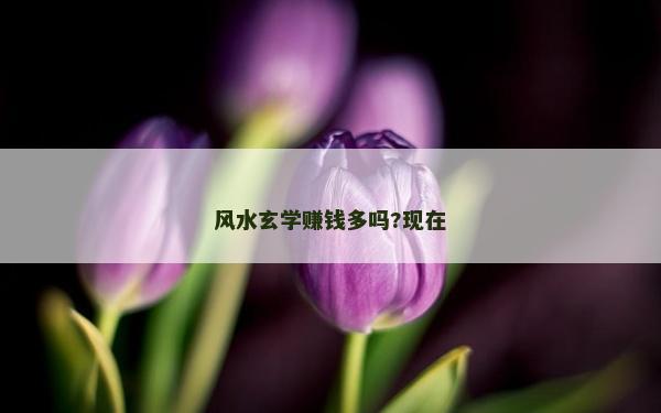 风水玄学赚钱多吗?现在