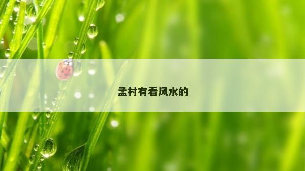 孟村有看风水的